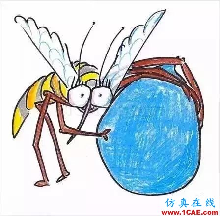 為什么蚊子永遠(yuǎn)不會(huì)被雨砸死?千萬別被孩子問住了!fluent圖片18