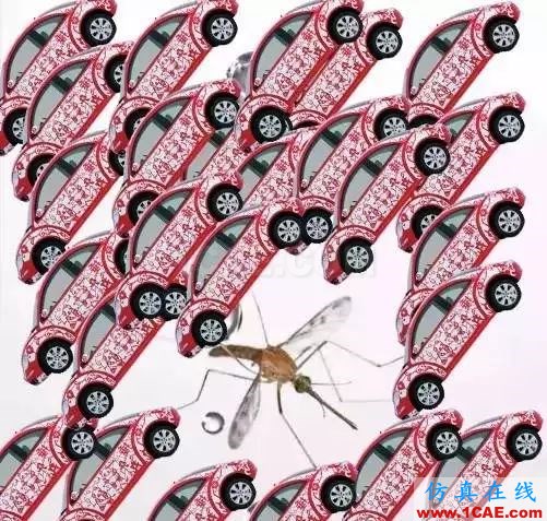 為什么蚊子永遠(yuǎn)不會(huì)被雨砸死?千萬別被孩子問住了!fluent分析案例圖片6