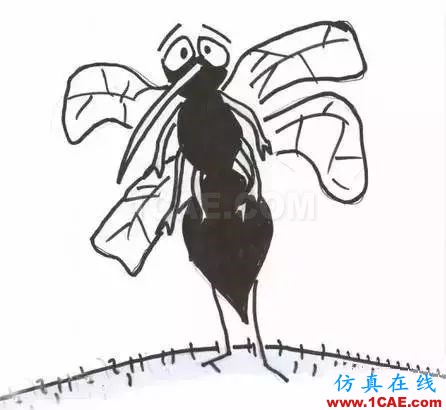 為什么蚊子永遠(yuǎn)不會(huì)被雨砸死?千萬別被孩子問住了!fluent圖片17