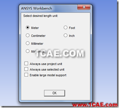 基于ANSYS Workbench的預應力模態分析ansys分析圖片4