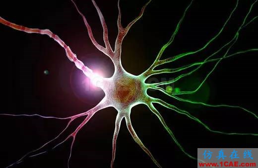 【資訊】強(qiáng)勢圍觀！Science公布的125個科學(xué)前沿問題!圖片8