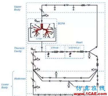 看ANSYS公司如何利用CFD助力心臟病患者手術fluent分析圖片3