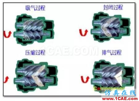 【技術(shù)應用】雙螺桿壓縮機背景知識及CFD應用Pumplinx流體分析圖片2
