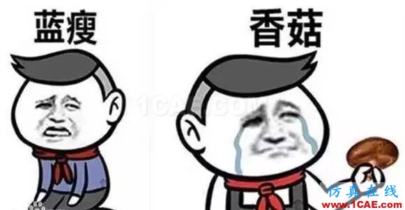 66929b3b1cc147e0a044cdc15e15fd96_th.jpeg 什么?軟件不會!藍(lán)瘦、香菇!快來MIDAS學(xué)習(xí)啦!~MIDAS 2016 新疆橋梁技術(shù)交流會Midas Civil分析案例圖片2