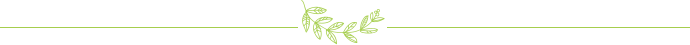 葉子分割線 【Fluent案例】02:Tesla閥【轉(zhuǎn)發(fā)】fluent培訓(xùn)課程圖片30