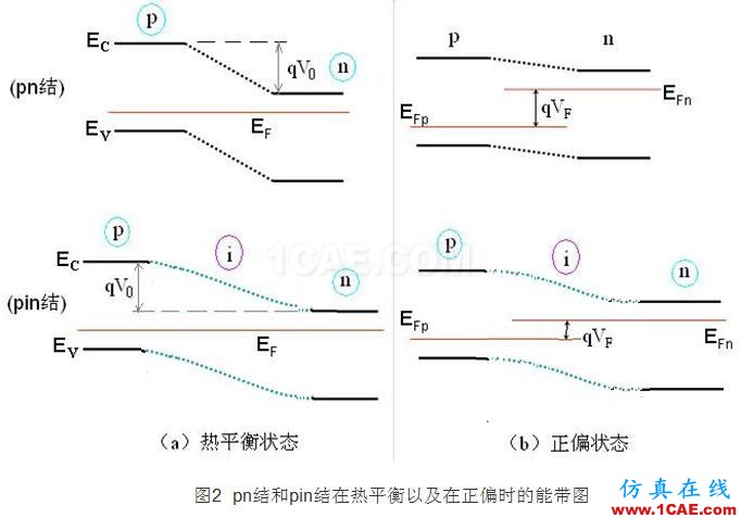 PIN結(jié)與PN結(jié)的特性比較 - 學(xué)習(xí) - 學(xué)習(xí)、學(xué)習(xí)、再學(xué)習(xí) PIN結(jié)與PN結(jié)的特性比較 - 學(xué)習(xí) - 學(xué)習(xí)、學(xué)習(xí)、再學(xué)習(xí)