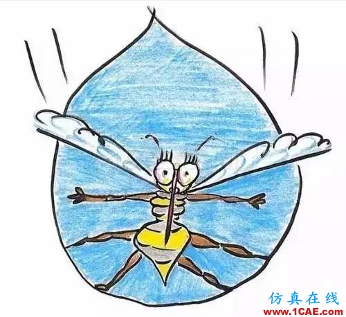 為什么蚊子永遠(yuǎn)不會(huì)被雨砸死?千萬別被孩子問住了!fluent流體分析圖片12